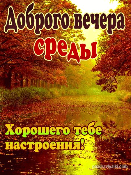 Прикольная картинка добрый вечер, среда!