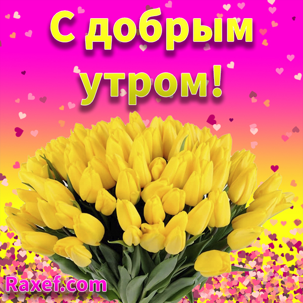 С Добрым утром! 🌹🌹🌹🌹🌹