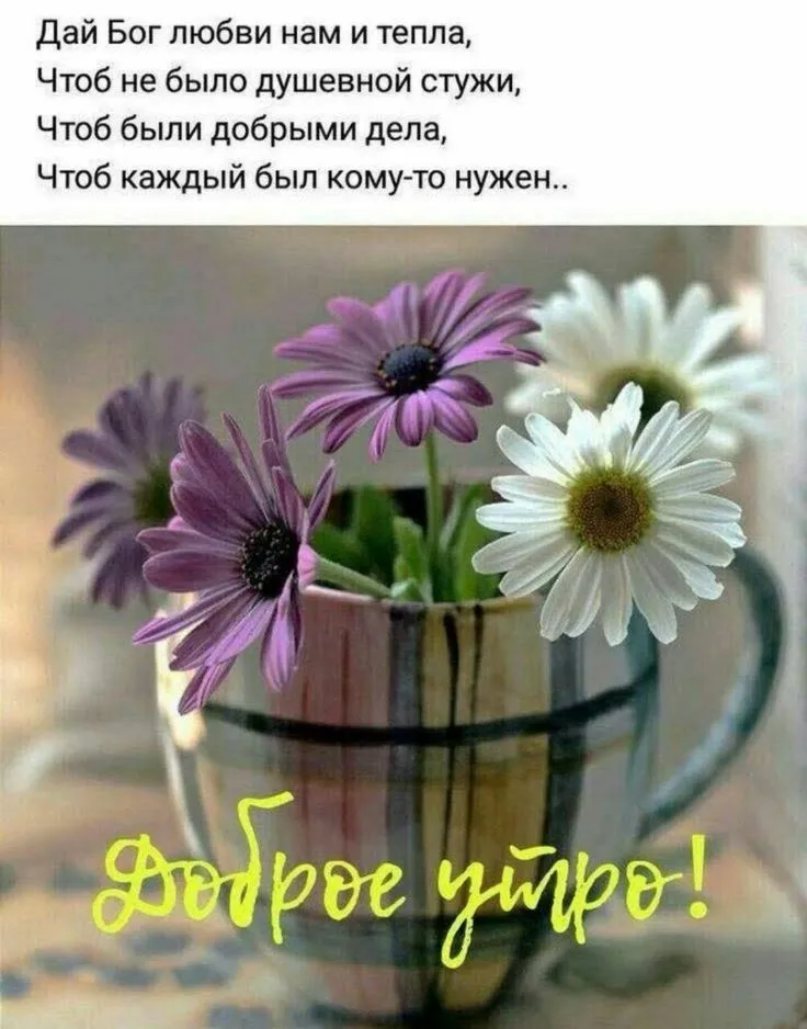 доброе утро