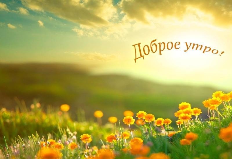 Доброе утро природа: хорошего дня