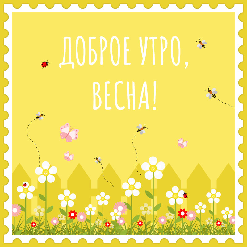 🌷Доброе утро! Тюльпаны для Вас, просто так, от души