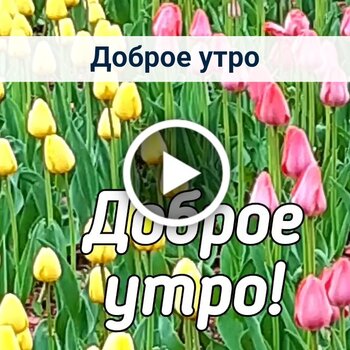 Доброе утро Пятница