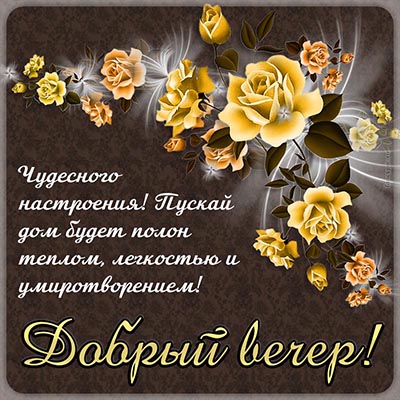 Добрый вечер! Пожелания доброго, уютного вечера и хорошего