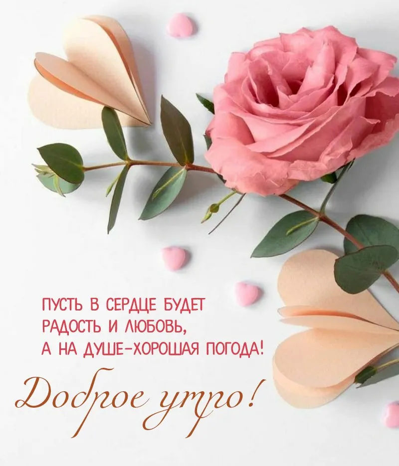 С Добрым Утром! ☕🌹Красивейшие Пожелания Доброго Утра и