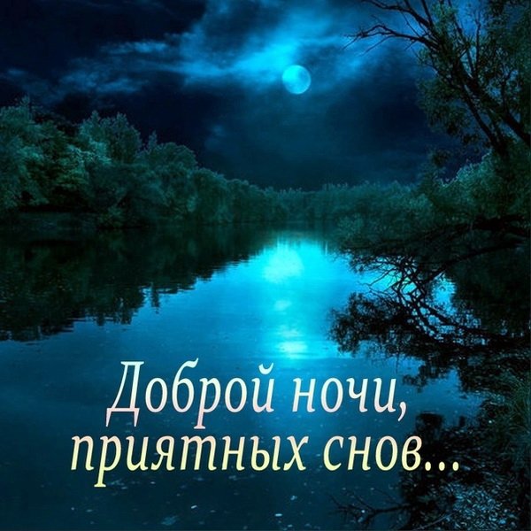 Спокойной ночи! #Природа | Природа