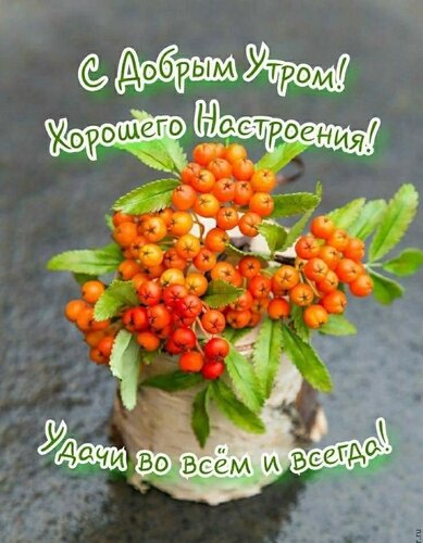 Всем, всем, всем доброе утро! | Доброе утро, Картинки