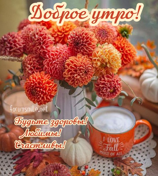 🌺🌿 ЯГОДКИ, ДОБРОЕ УТРО, ОТЛИЧНОГО ДНЯ! 🌿🌺 Желаем всем с