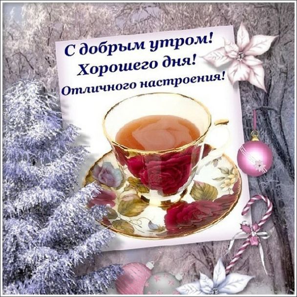 ДоброеУтро #хорошегодня #лето #вторник