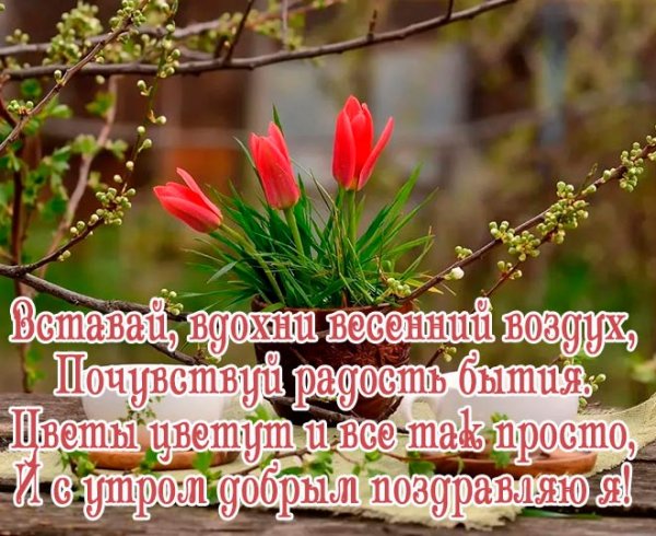 АГС_Утро Доброе утро, дорогие наши! Пусть четверг принесет