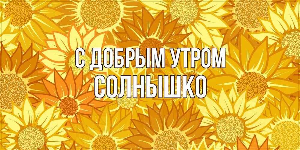 Прикольные картинки Доброе утро солнышко для девушки