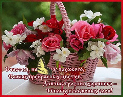 Красивые открытки с цветами С днем рождения! 💐🌷 240 шт