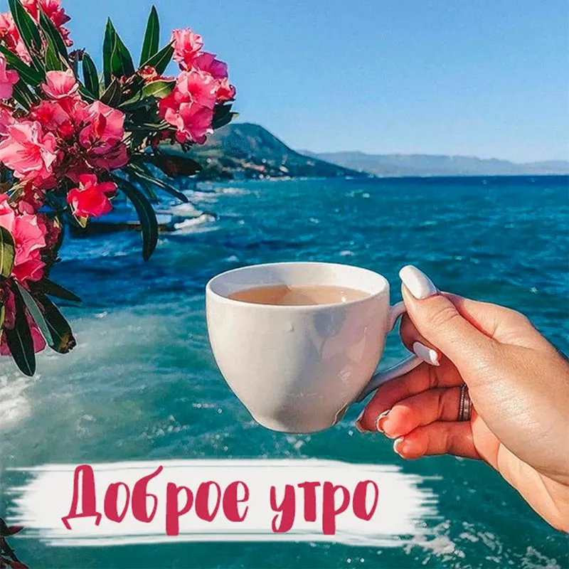 Портал на море | ☕️ Доброе утро с Мальдив 🇲🇻 Райский