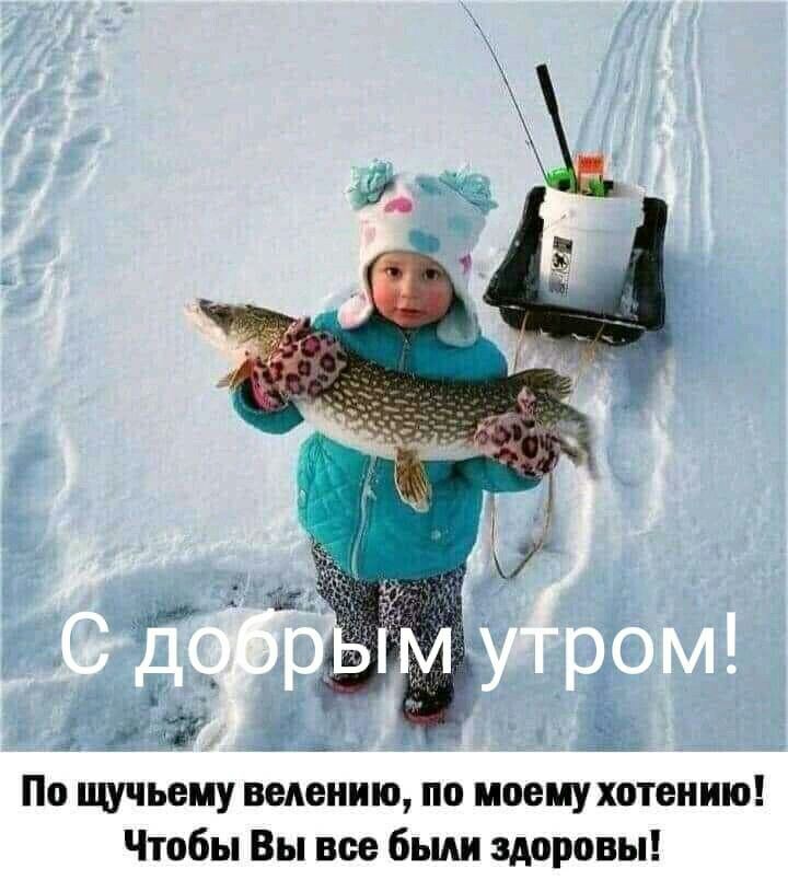 Доброе утро