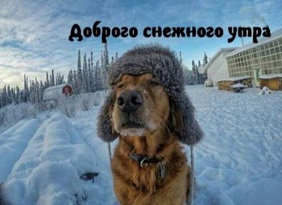 ❄️⛄😍 Картинки с добрым зимним утром