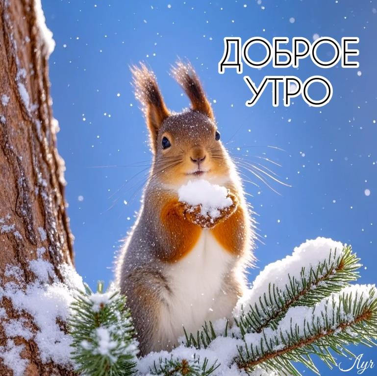 Идеи на тему «Доброе утро Зима» | доброе утро, зима