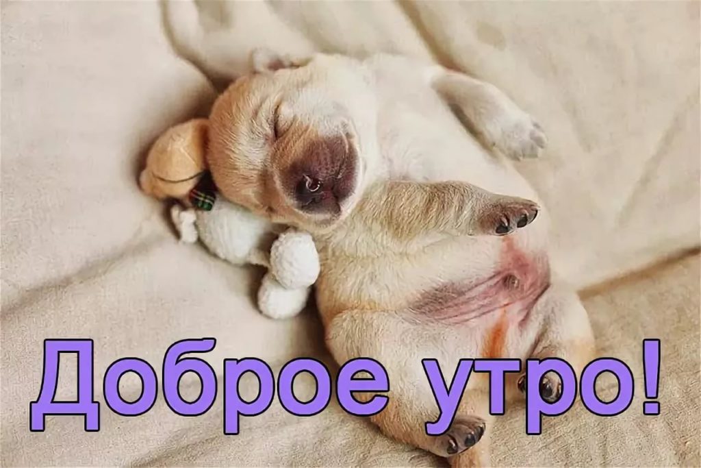 Доброе утро♡♡♡ | Просто пикчи