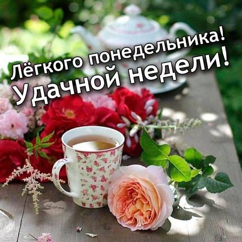 Доброе утро понедельника!☕ С началом