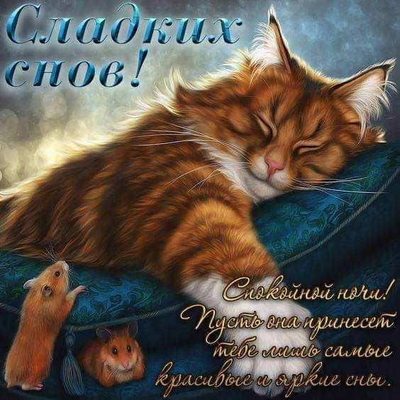 Картинки Спокойной ночи любимой 🌙