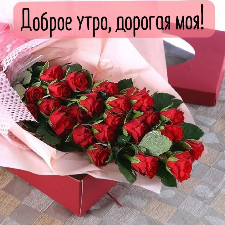 ❤️❤️❤️ Доброе утро, любимая ❤️❤️❤️ Самое красивое