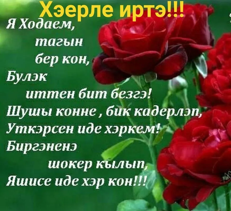 Смешные картинки Хәерле кич