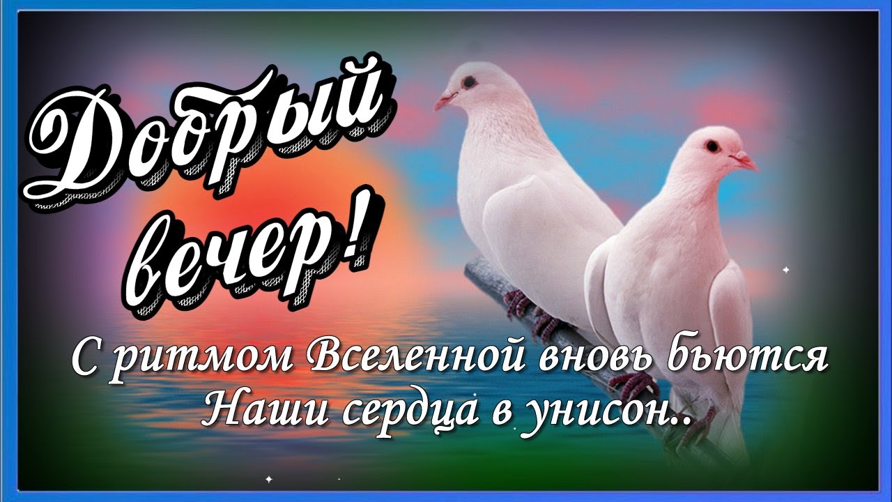 Видеооткрытка Доброго вечера! Музыкальная открытка добрый