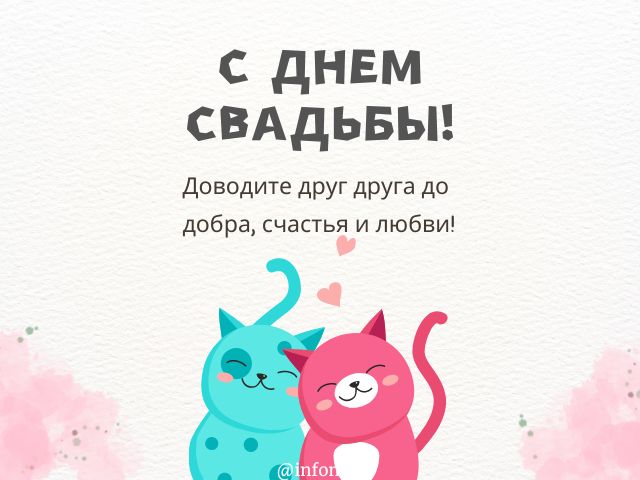 Скачать Бесплатно Поздравления С Годовщиной Свадьбы 17 | TikTok