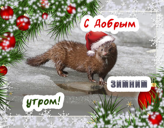 ♥༻ НАС ПОЙМУТ ༺♥༻ — Разное | OK.RU