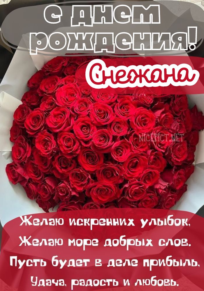 С днем рождения Снежана