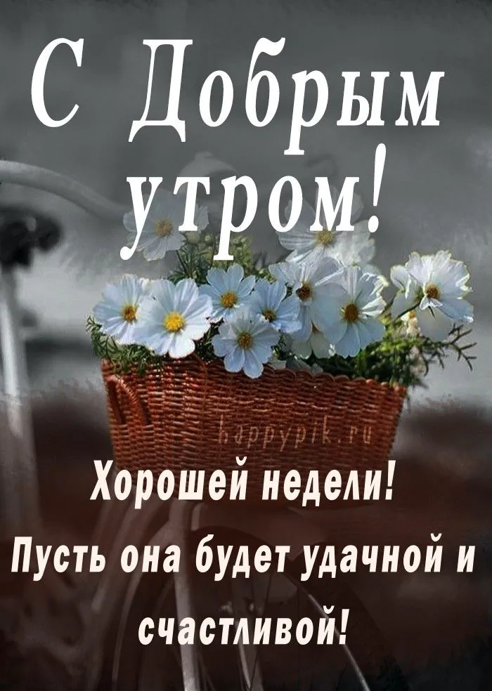 Картинки продуктивной недели и хорошего настроения 