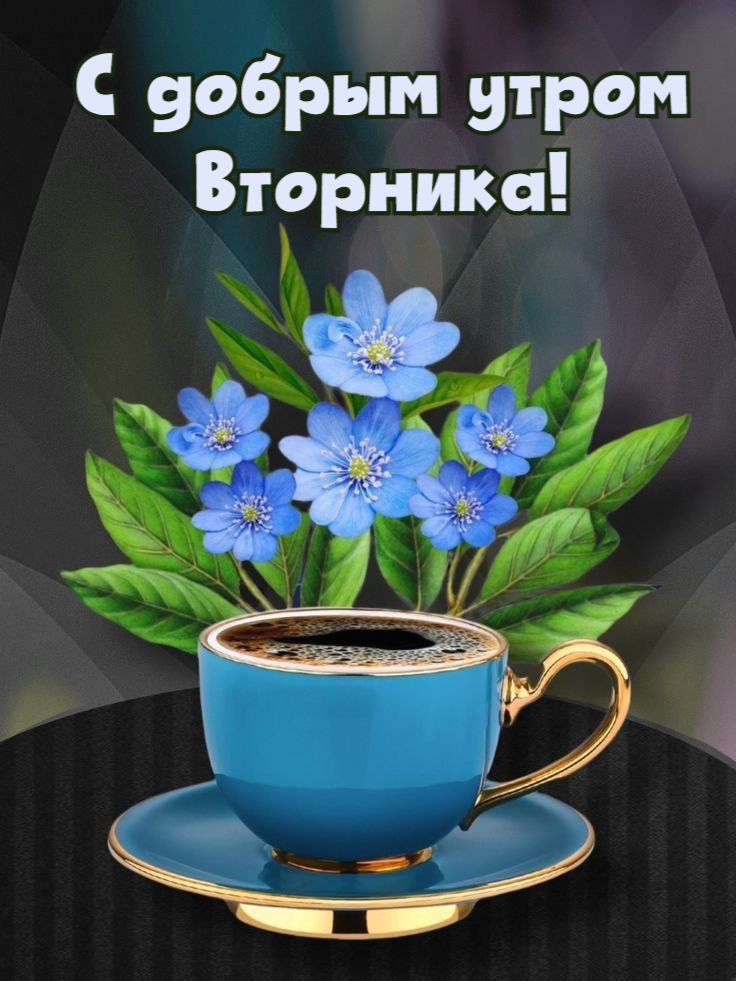 🌺🌿 ЯГОДКИ, ДОБРОЕ УТРО, ОТЛИЧНОГО ДНЯ