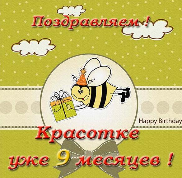 Воздушные шары Aliexpress 1PCS 16 inch Animal Number Foil