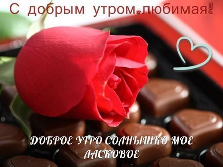 ❤️❤️❤️ Доброе утро, любимая ❤️❤️❤️ Самое красивое