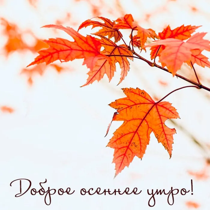 Доброе утро