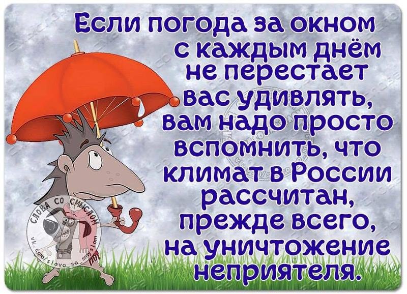 Всем доброго утра! Пусть в любую погоду