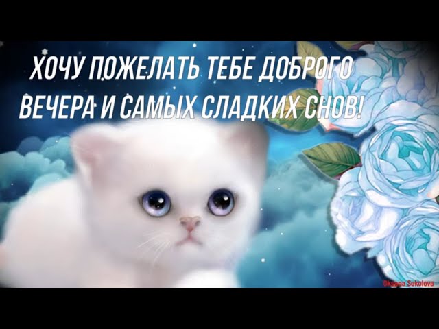 Добрый вечер.gif | Записи в рубрике