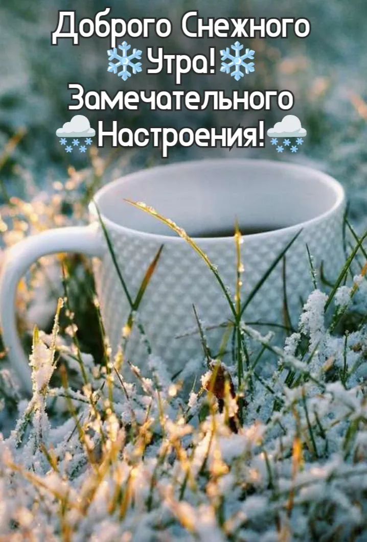 Доброе утро, друзья☀️ Удачного дня