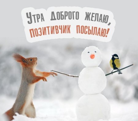 ❄️⛄😍 Картинки с добрым зимним утром