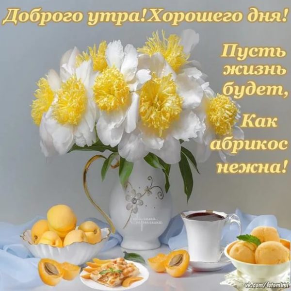 Доброго утра!.. 🤗 И доброго здоровья!.. 🍊😀 | С добрым