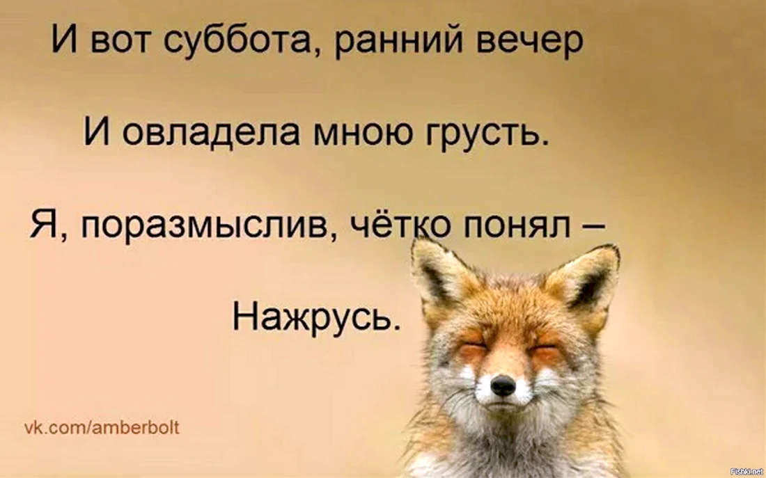 Идеи на тему «Доброе утро субботы» в 2024 г | доброе