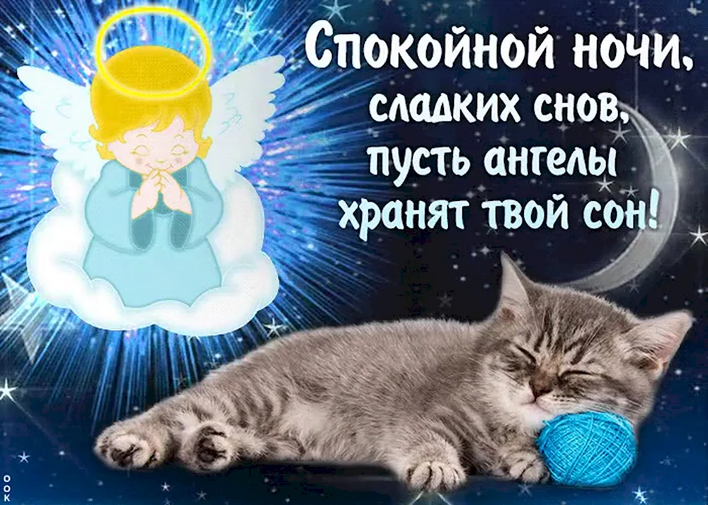 сережа, доброй ночи! , Мем котенок