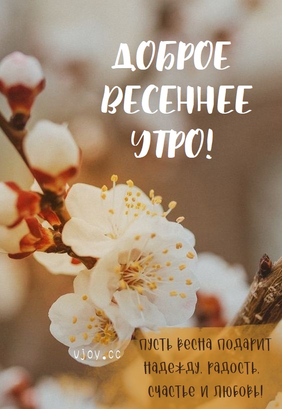 Доброе ВЕСЕННЕЕ Утро 💐 самые красивые лучшие пожелания с