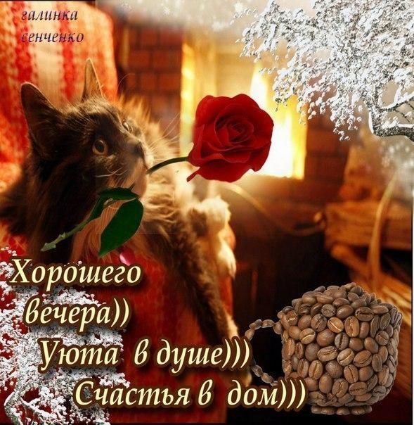 ВЕЧЕР ДОБРЫЙ! — открытки очень красивые 🌹 с пожеланиями