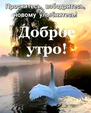 Доброе утро Господа Пикубушники и хорошего настроения. | Пикабу