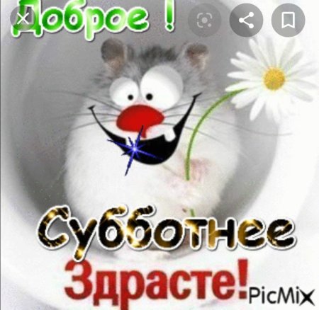 Доброе Утро Субботы Красивое Видео | TikTok