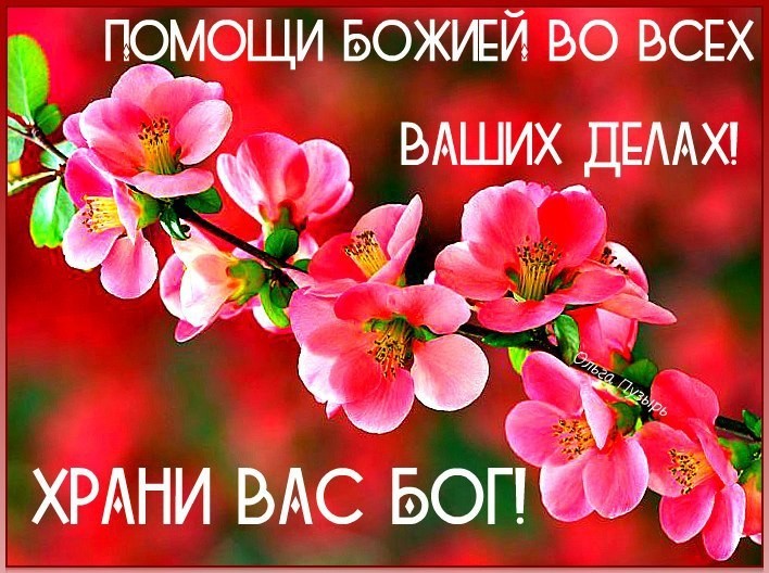 Открытка Доброго вам дня! Мир вам и дому вашему! Храни вас Бог!