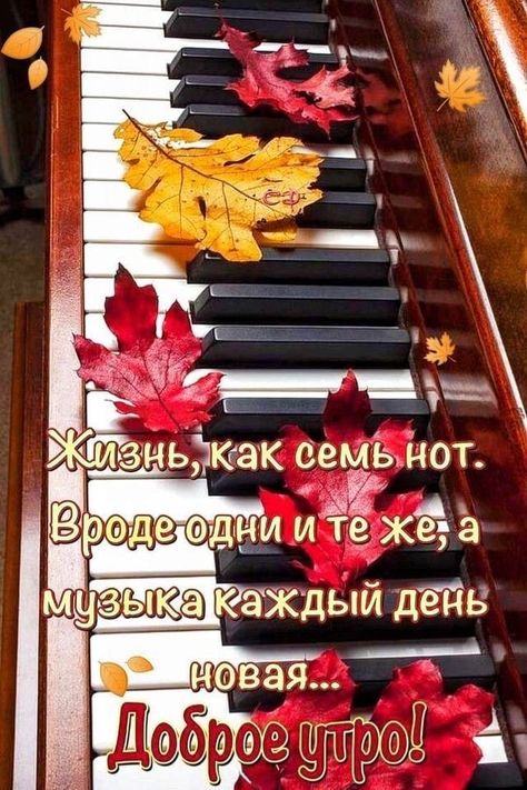 Утро категория: 730+ постов с фото и картинками