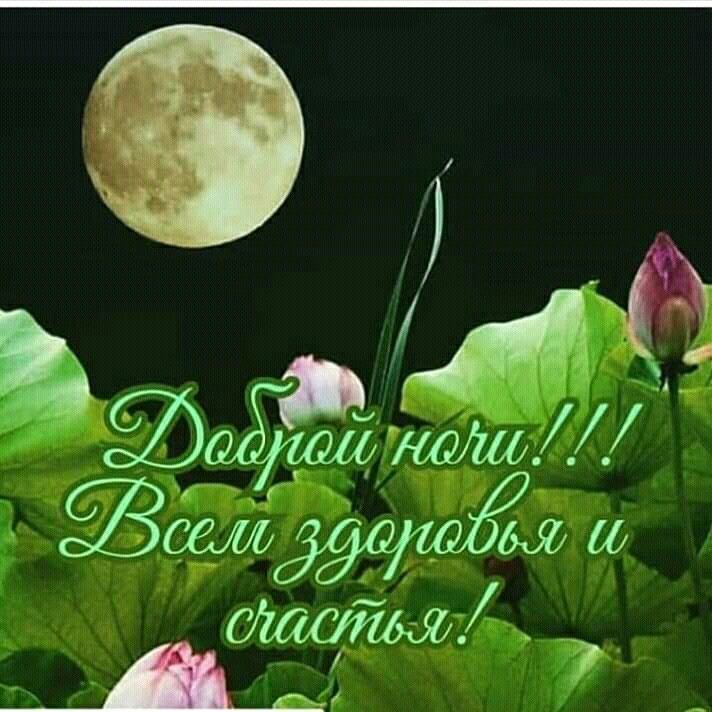 🌙✨Спокойной ночи, друзья!💙 😴Глубокий