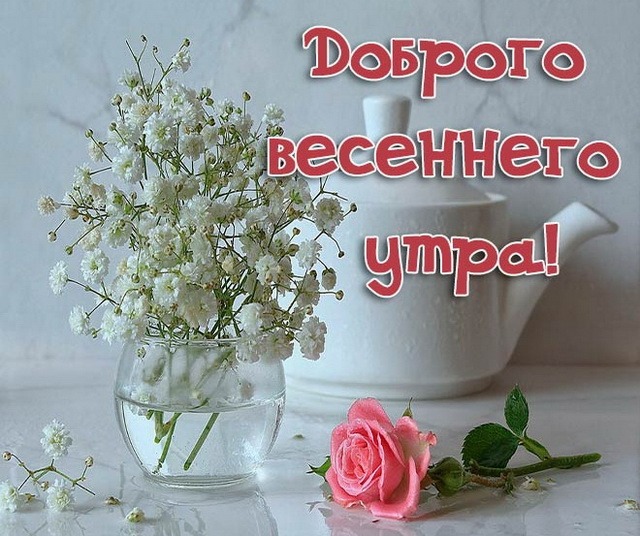 Доброе весеннее утро