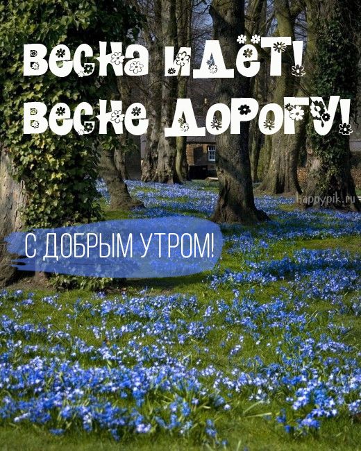 Доброе утро