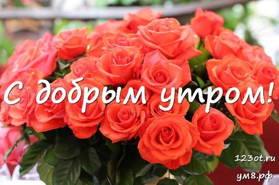 Гифки Доброго утра! женщине 